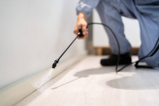 Licensed Fumigation Services service in Loma Rica, CA - Nex Pest Control