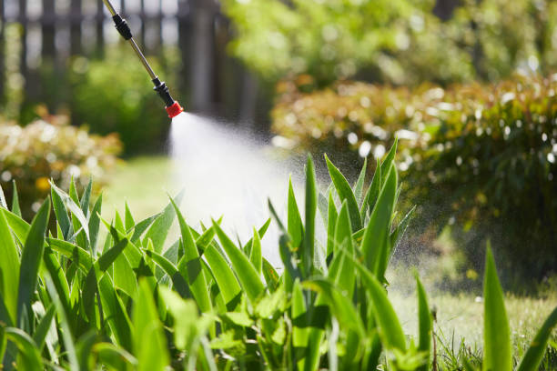 24/7 Emergency Fumigation Services experts in Loma Rica, CA