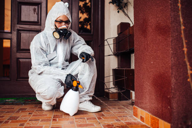 Reliable Fumigation Services contractor in Loma Rica, CA by Nex Pest Control