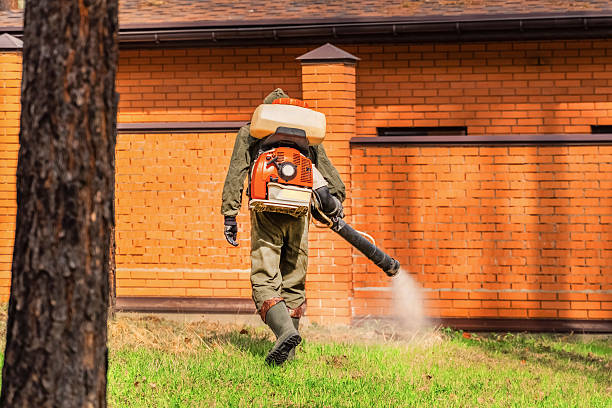 Trusted Cockroach Control service in Loma Rica, CA - Nex Pest Control